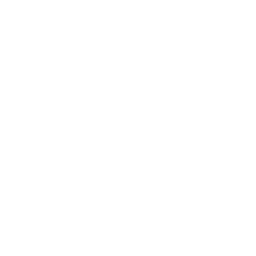 Github Icon social