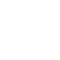 Phone Icon social